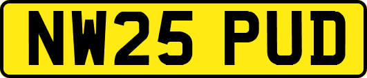 NW25PUD