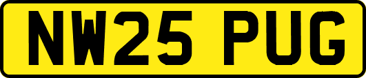 NW25PUG