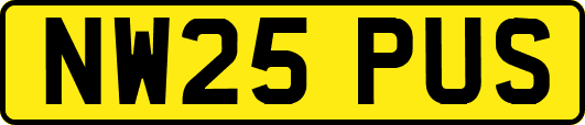 NW25PUS