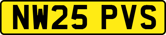 NW25PVS