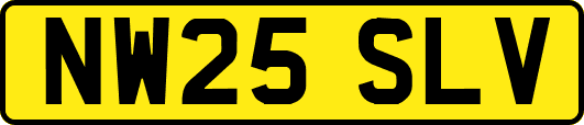 NW25SLV
