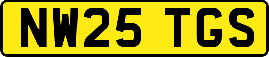 NW25TGS