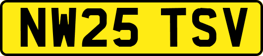 NW25TSV