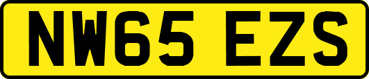 NW65EZS