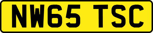 NW65TSC