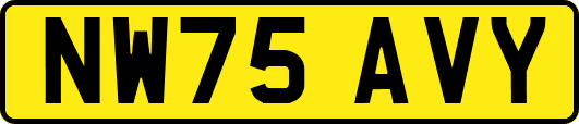 NW75AVY