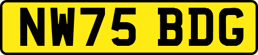 NW75BDG