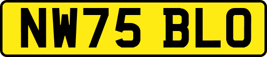 NW75BLO
