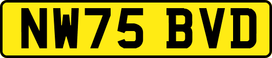 NW75BVD