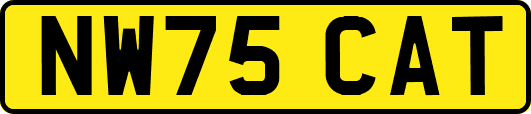NW75CAT