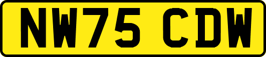 NW75CDW