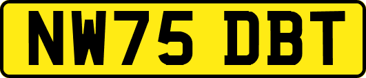 NW75DBT