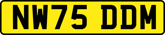 NW75DDM