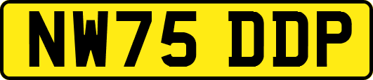 NW75DDP