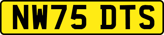 NW75DTS