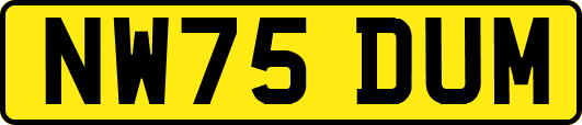 NW75DUM