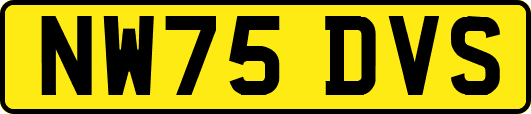 NW75DVS