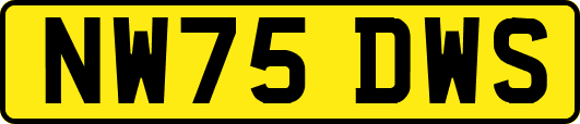 NW75DWS