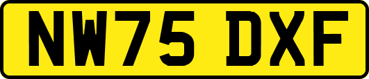 NW75DXF