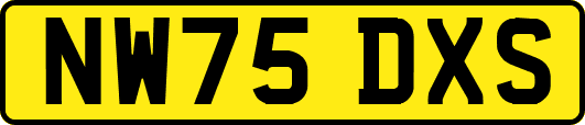 NW75DXS