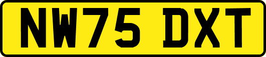NW75DXT