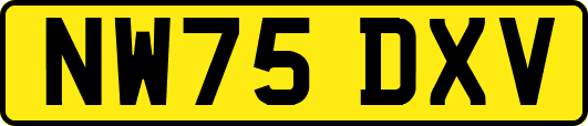 NW75DXV