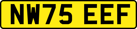 NW75EEF