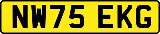 NW75EKG
