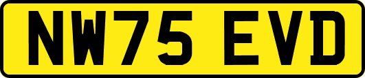 NW75EVD