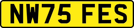 NW75FES