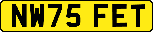 NW75FET