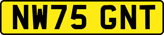 NW75GNT