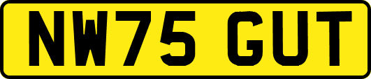 NW75GUT