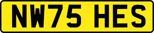 NW75HES