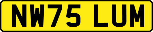 NW75LUM
