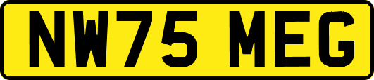NW75MEG