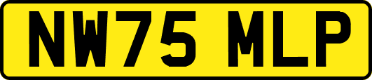 NW75MLP