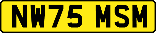 NW75MSM