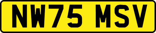 NW75MSV