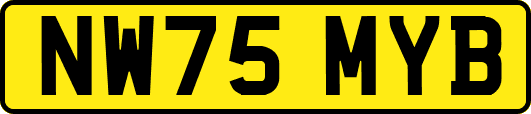 NW75MYB