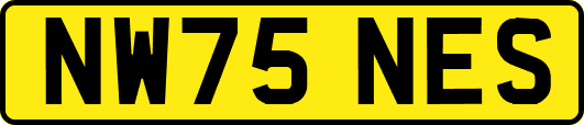NW75NES