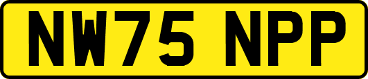 NW75NPP
