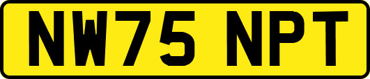 NW75NPT