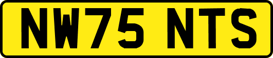 NW75NTS