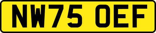 NW75OEF