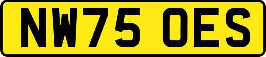 NW75OES