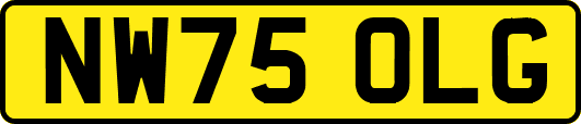 NW75OLG