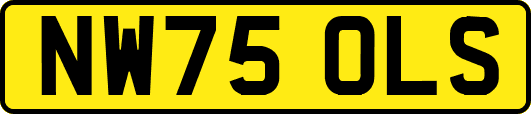NW75OLS