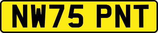 NW75PNT