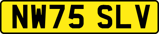 NW75SLV